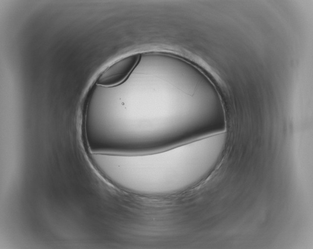 X0000112541508200908171155