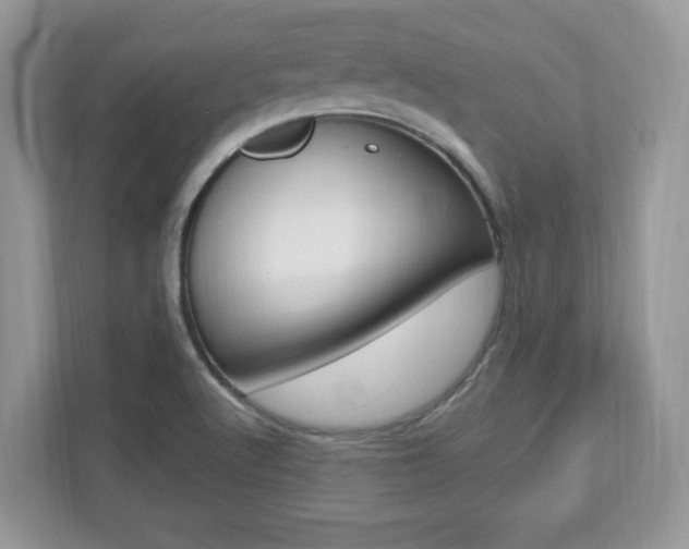 X0000112541512200908171155