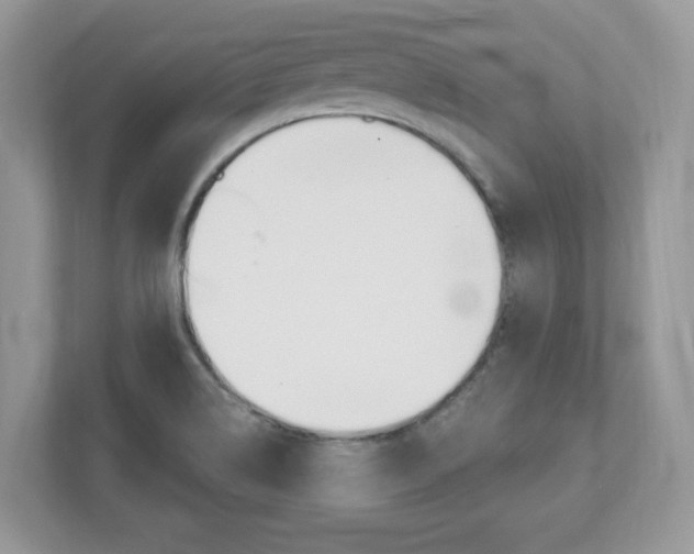 X0000112541514200908171155