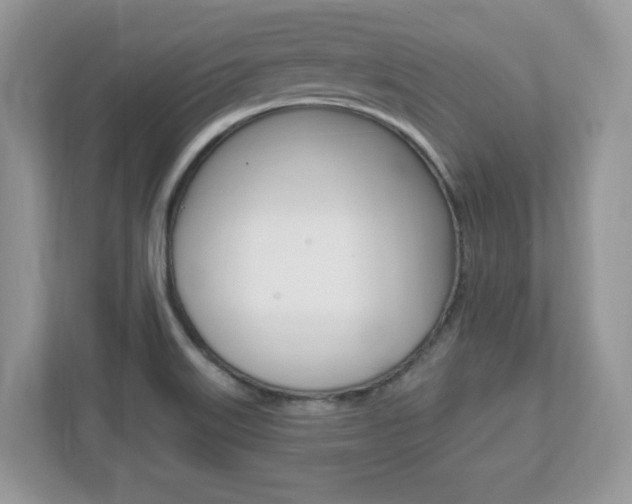 X0000112541515200908171155