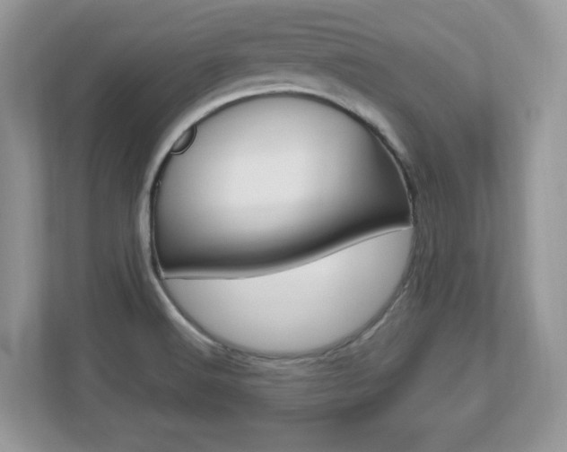 X0000112541516200908171155