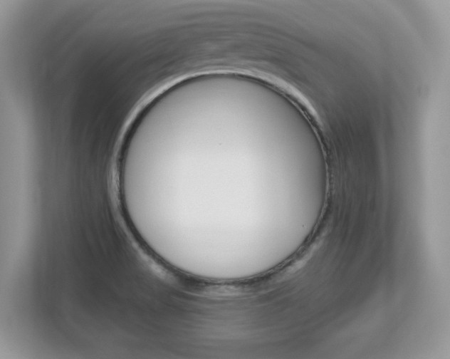 X0000112541517200908171155