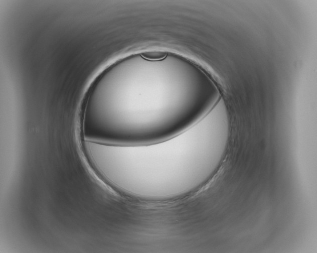 X0000112541518200908171155