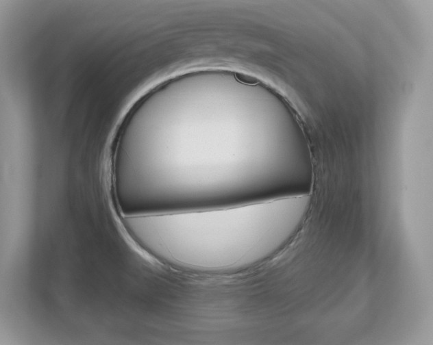 X0000112541519200908171155