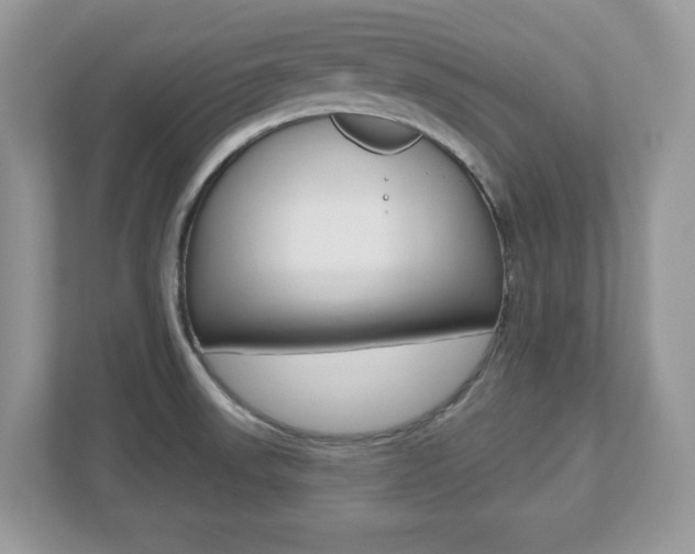 X0000112541523200908171155