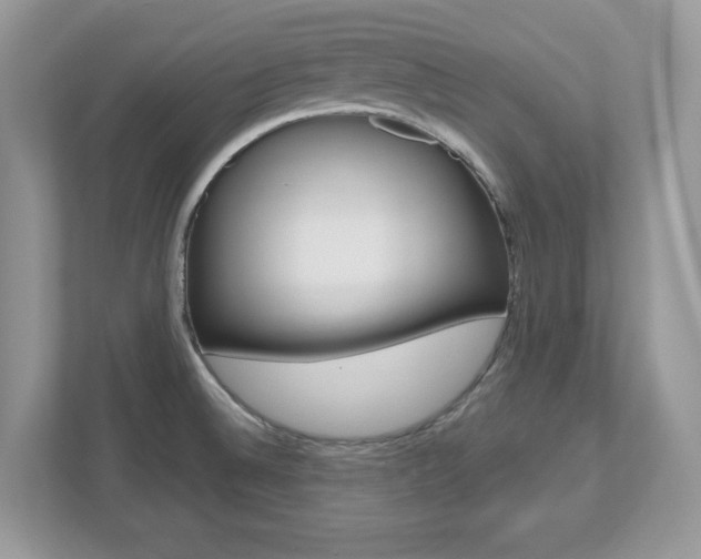 X0000112541524200908171155