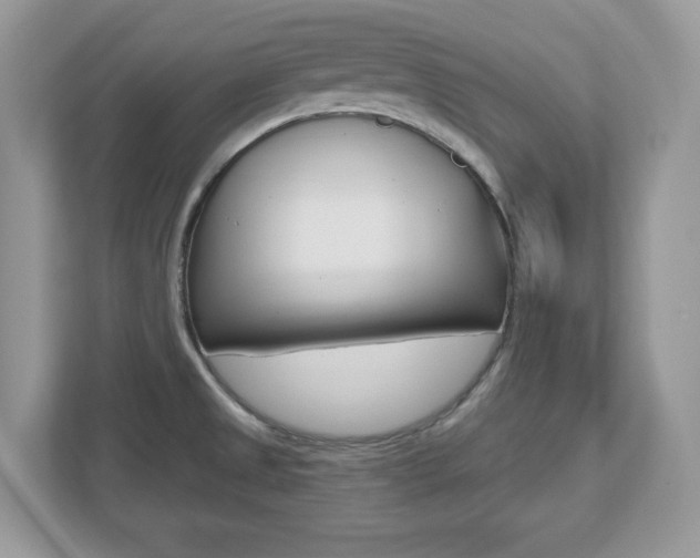 X0000112541525200908171155