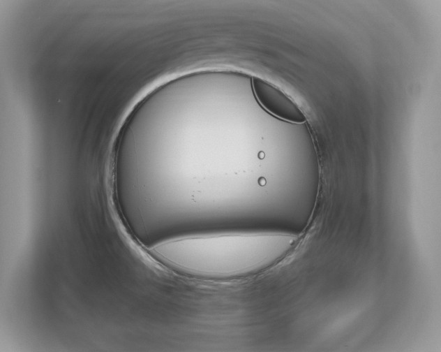 X0000112541526200908171155