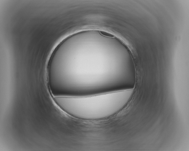 X0000112541527200908171155