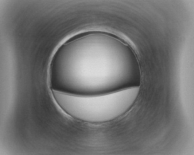 X0000112541528200908171155