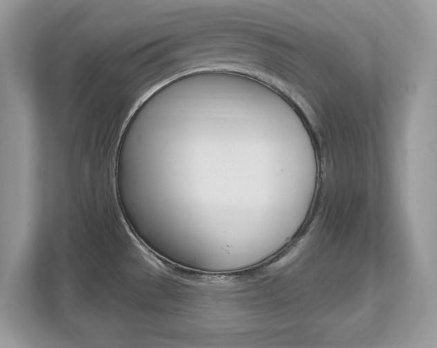 X0000112541529200908171155
