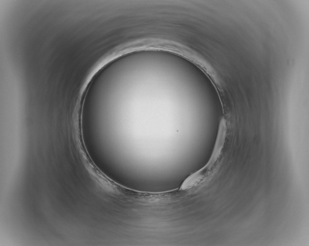 X0000112541530200908171155
