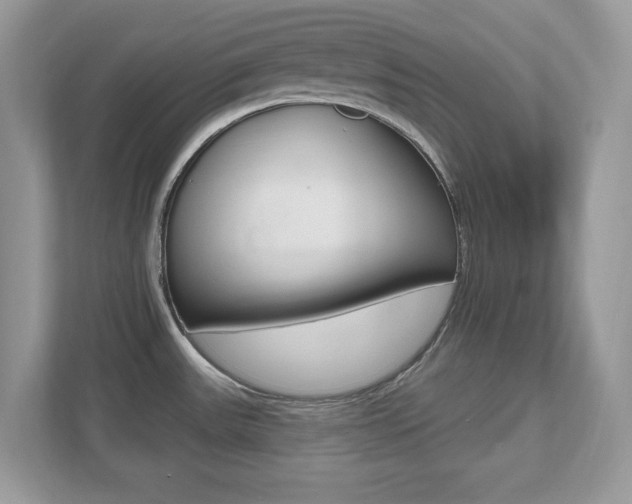 X0000112541531200908171155