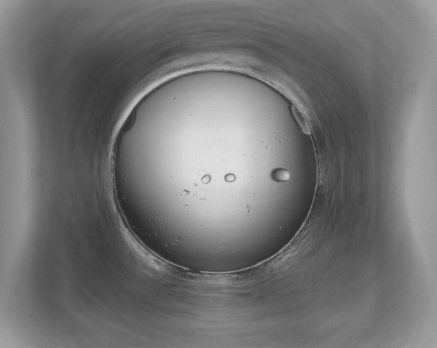 X0000112541532200908171155