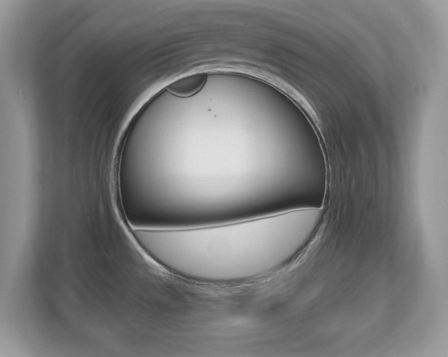 X0000112541533200908171155