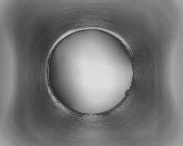 X0000112541534200908171155