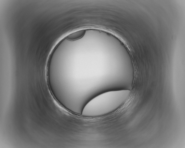 X0000112541535200908171155