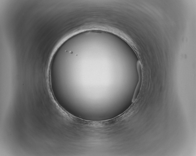 X0000112541536200908171155