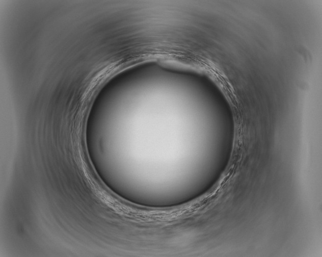 X0000112540001200908171453