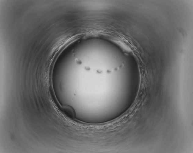 X0000112540002200908171453