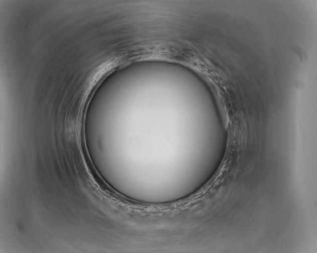 X0000112540003200908171453