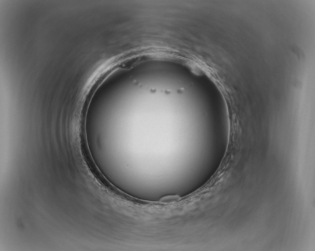 X0000112540007200908171453