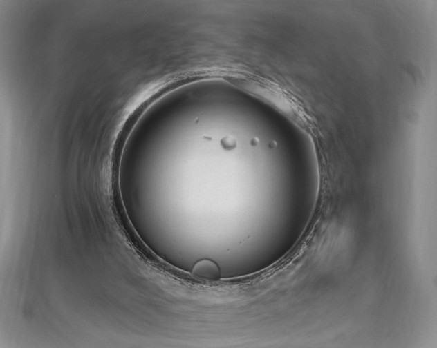 X0000112540008200908171453