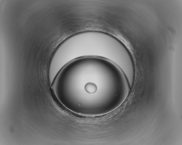 X0000112540009200908171453