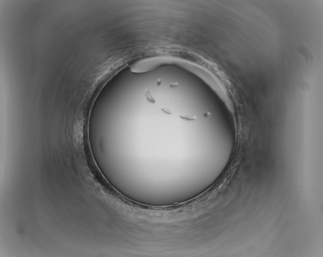X0000112540010200908171453