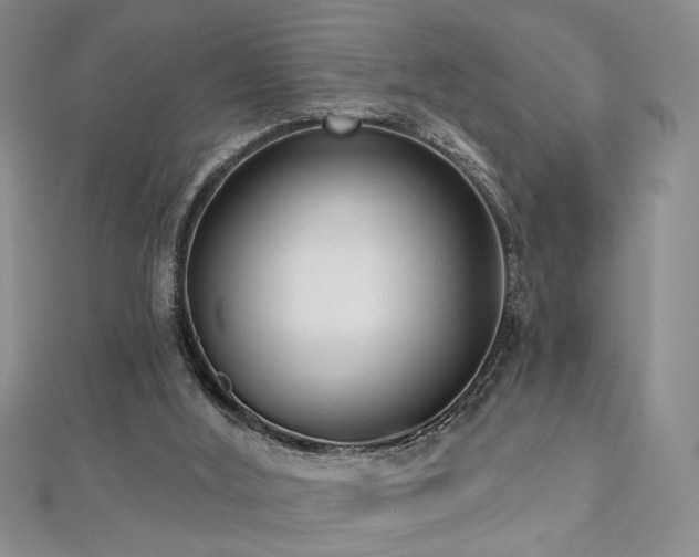X0000112540012200908171453