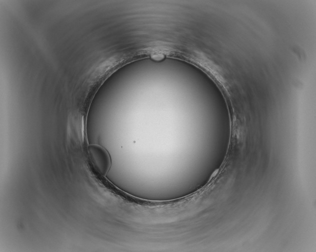 X0000112540013200908171452