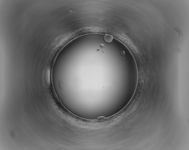 X0000112540014200908171452