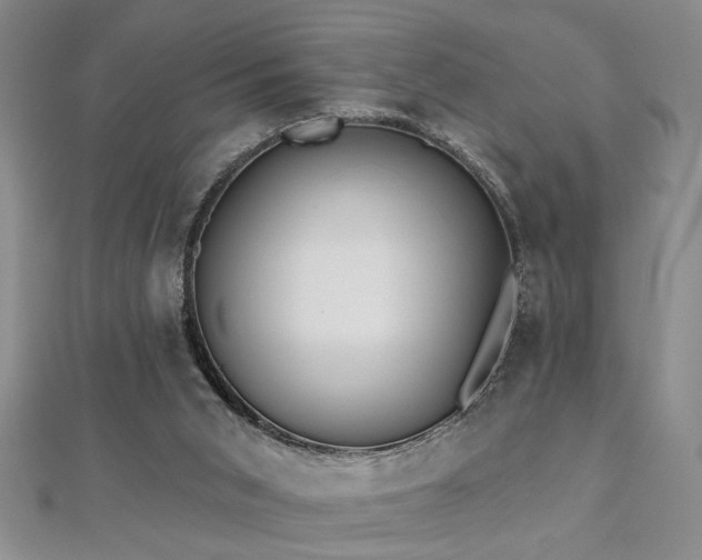 X0000112540015200908171452