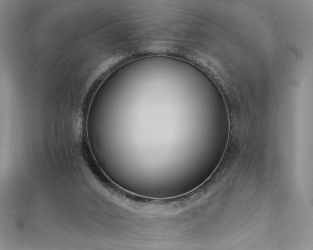 X0000112540016200908171452