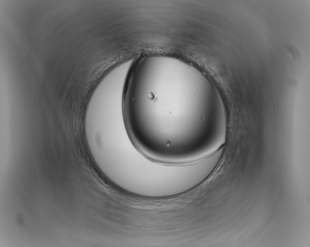 X0000112540017200908171452