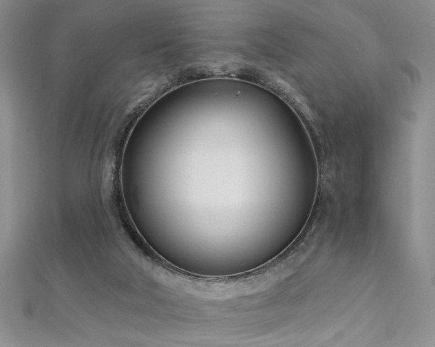 X0000112540018200908171452