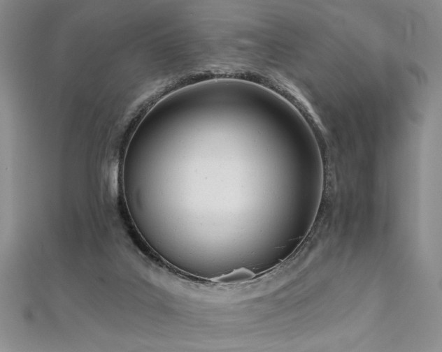 X0000112540019200908171452