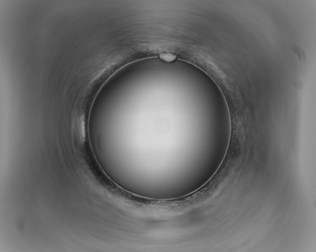 X0000112540020200908171452