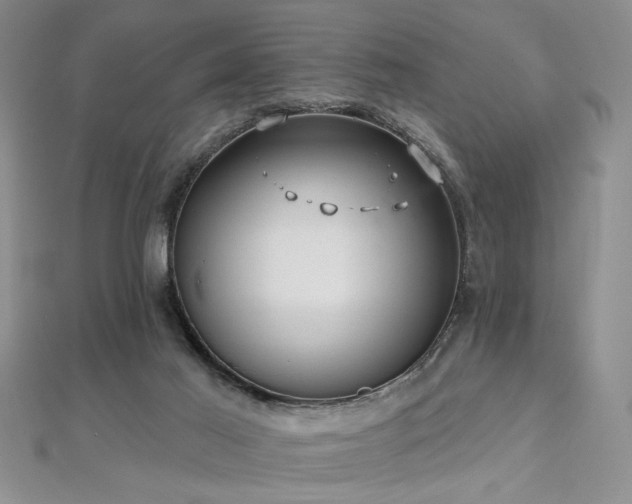 X0000112540021200908171452
