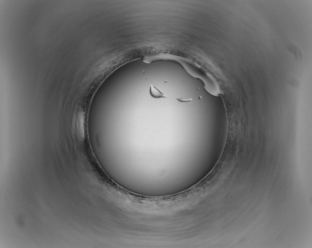 X0000112540022200908171452