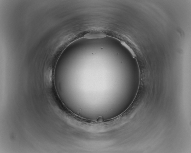 X0000112540024200908171452