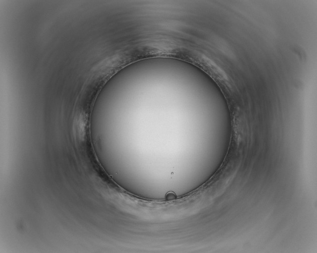 X0000112540026200908171452