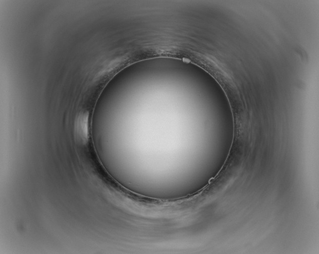 X0000112540028200908171452