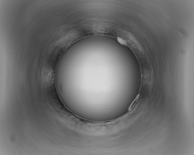 X0000112540029200908171452