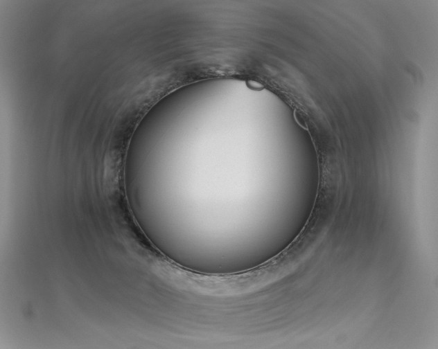 X0000112540030200908171452