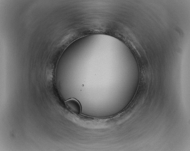 X0000112540032200908171452