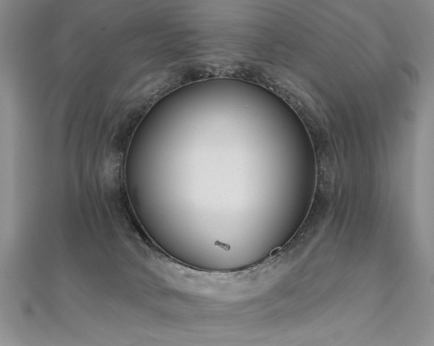 X0000112540034200908171452