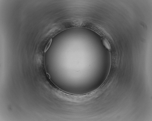 X0000112540035200908171452