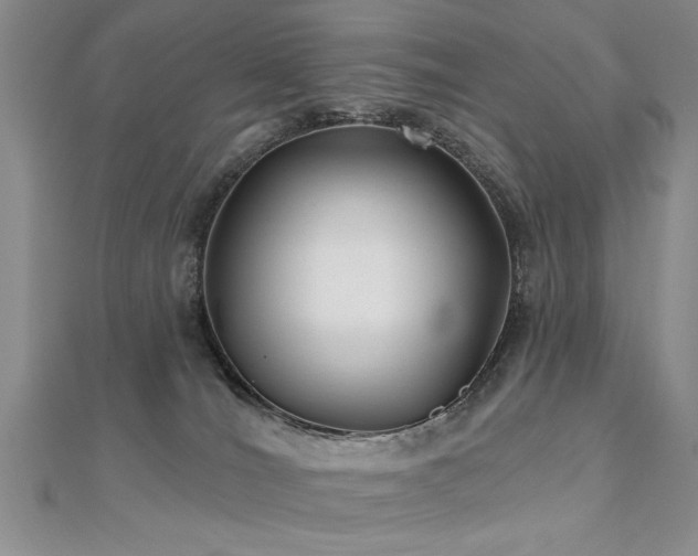 X0000112540036200908171452
