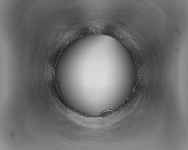 X0000112540038200908171452